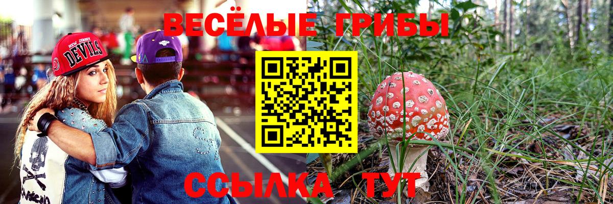 Псилоцибиновые грибы Psilocybine cubensis  Вход с VPN  даркнет сайт  Краснознаменск 