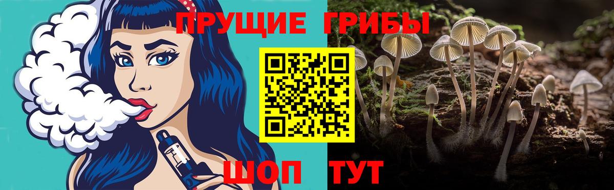 Галлюциногенные грибы Cubensis Краснознаменск